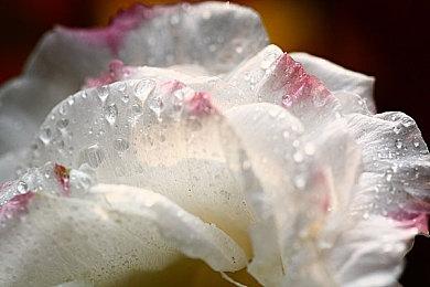 TI12版本来了 《DOTA2》7.34d平衡性更新发布